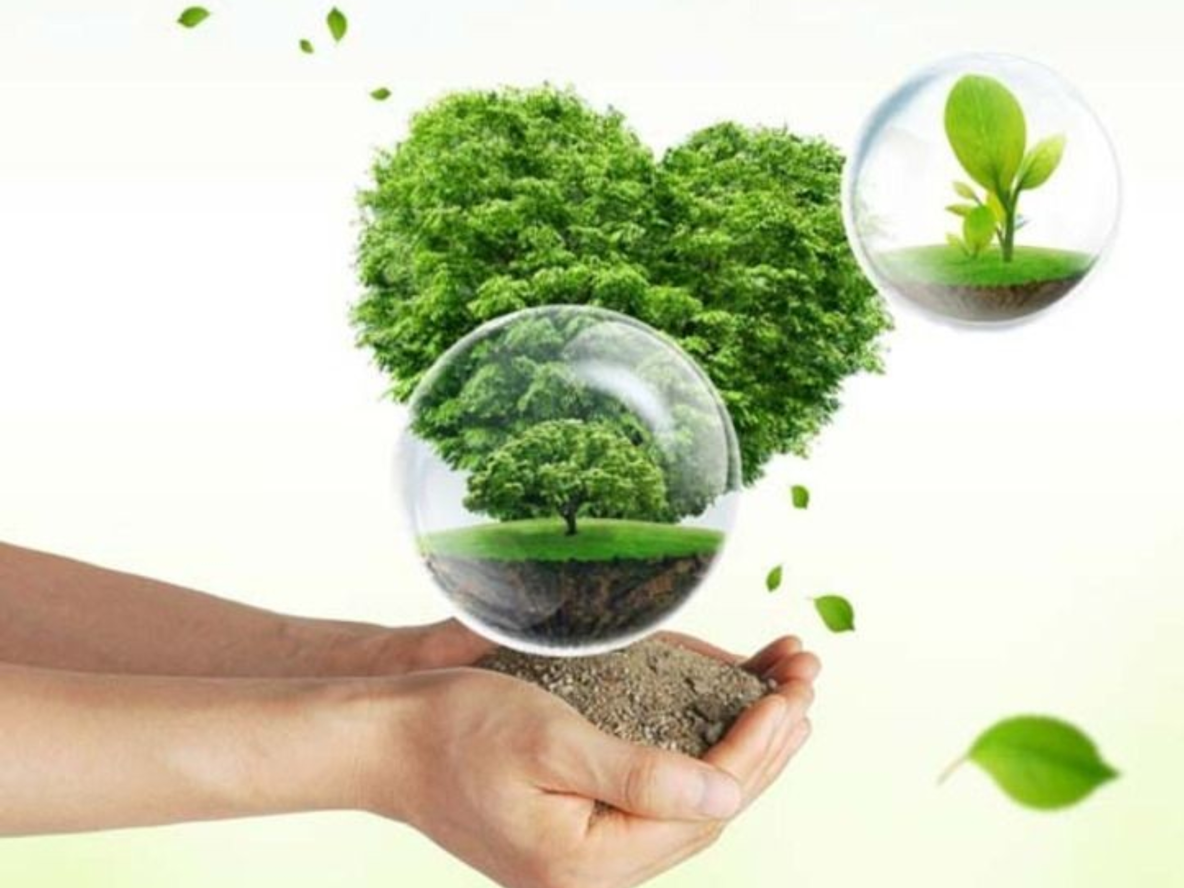 H813CA82FC4BF4AC59A2F1AEF1E637EB4H_ 副 本